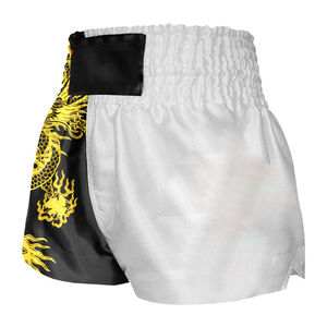 Shorts de boxe Fairtex unisexes haut de gamme pour Muay Thai, Kick Boxing, MMA, entraînement et sparring, avec broderie sublimée. - Product Image 1
