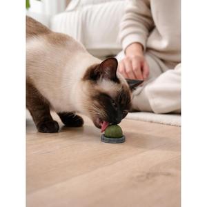 YOMMY Rullo Adesivo Forte alla Menta Pura per la Digestione Felina 4,5 x 4 cm Prodotto per la Cura degli Animali Domestici Disponibile in 3 Colori - Product Image 4
