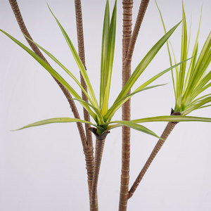 Fournisseur en gros de plantes artificielles en plastique vert Sansevieria H185cm, écologiques, pour l'intérieur, l'extérieur, le balcon, le <span class=keywords><strong>jardin</strong></span> - Product Image 2