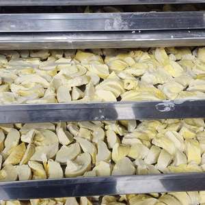 Durian lyophilisé du Vietnam |   Collation croustillante de qualité supérieure |   Superfruits naturels - Product Image 3