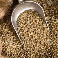 Meilleures ventes Grains de café vert du Vietnam Robusta Arabica Haricots bruts Prix compétitif Sac d'emballage Vente en gros Prêt pour l'importation Navire