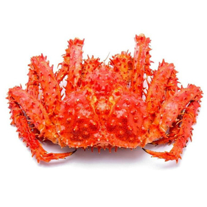 Cangrejos Rojos Frescos Congelados/Vivos, Cangrejos de Carcasa Blanda, Cangrejos Azules y Cangrejos de Nieve - Venta al por Mayor - Product Image 6