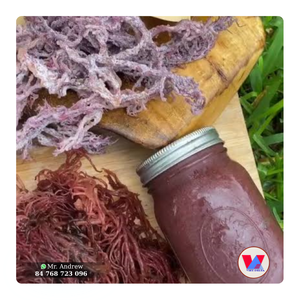 มีสาหร่ายทะเลสีม่วงแห้งธรรมชาติ เกรดอาหาร สำหรับทำเจลและสลัด - Product Image 1