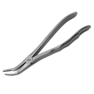 Pinzas Dentales Manuales para Autoclave, de Acero Quirúrgico, con Punta Larga, para Extracción de Raíces Superiores e Inferiores, Incluye Bolsa - Product Image 4