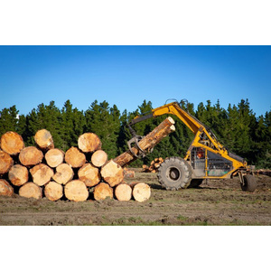 Troncos de Madera Dura de Grado Industrial, Madera Sólida, Perfecta para Fábricas de Muebles y Uso Industrial - Product Image 4