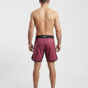 Men Breathable Stretch Compression Fit <b>Grappling</b> Kickboxing MMA Training <b>Shorts</b> New Arrival Style MMA <b>Shorts</b> - Product Image 2