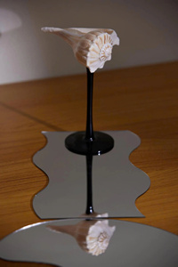Copas de Concha Natural con Nombre Personalizado para Regalo de Boda en la Playa, Copas de Concha Doradas Únicas, Copas de Vino Decorativas Exquisitas - Product Image 3