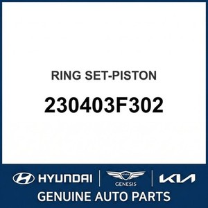 Nouveaux pistons et segments Borrego 230403F302 - Product Image 1