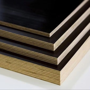Double Sanded Film Faced Plywood Modern Rubberwood Eucalyptus First Class High Quality Wholesale Supplier <b>Panels</b> - Product Image 1