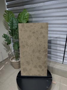Carrelage Céramique Mat KENSINGTON GRE CAMEL du Fournisseur Indien – Revêtement Mural et de Sol de Luxe pour Intérieur Moderne, Disponible à Prix Raisonnable - Product Image 5