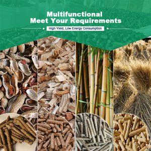 โรงงานผลิตเม็ดไม้ชีวมวลแบบพาเลทท์ ผลิตภาพสูง พร้อมแบริ่งและมอเตอร์ กำลังการผลิต 1-40 ตัน/ชม. - Product Image 6