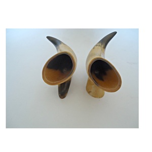 Cornes décoratives naturelles de buffle, polies, 3 pièces, pour supports, design style animal, pièce longue - Product Image 4