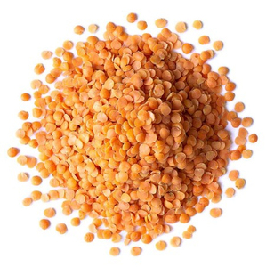 Lentilles vertes fraîches en vrac, qualité supérieure, directement de la source, pour les marchés mondiaux - Product Image 3