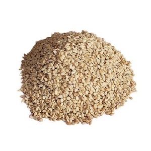Graines de sésame blanc séchées en vrac pour la fabrication alimentaire - Product Image 4