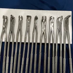 Premium Set of 21\" Equine Molar Forceps High Quality Manual <b>Tools</b> ForVeteran Made of Premium Quality Stainless Steel - Product Image 1