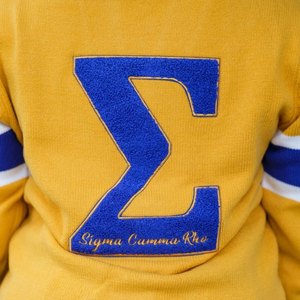 Cárdigan Amarillo y Azul Sigma Gamma Rho 1922 para Mujer, Suéter con Botones, Estilo Casual Premium de la Hermandad Griega - Product Image 6