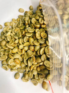 Mejor Precio en Granos de Café Verde Robusta y Arábica S14 S16 S18 Limpios, Venta al por Mayor en Bolsas de 60 kg, ODM/OEM - Product Image 6