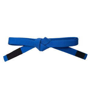 Ceinture d'arts martiaux professionnelle, vêtements de sport, ceinture d'arts martiaux fabriquée en coton de qualité supérieure, coutures renforcées, robuste - Product Image 1