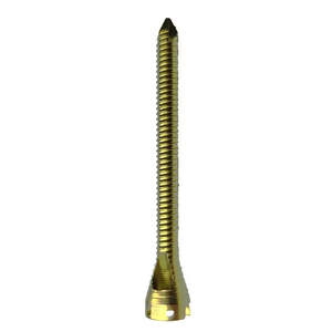 Instrumento Veterinario de Alta Calidad, Tornillo de Bloqueo de Acero Inoxidable - Product Image 6