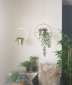 Macetero Colgante de Metal Dorado con Marco Circular y Cadena, Moderno Soporte para Macetas Suspendido para Plantas de Interior, Contemporáneo - Product Image 6