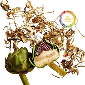 High Quality Dried Artichoke Flower Premium <b>Tea</b> Grade for Wellness and Detox Bulk Supply - Product Image 4