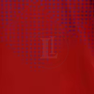 Tenue de football personnalisée avec logo, respirante, 100 % polyester, service OEM, qualité professionnelle, couleur/taille personnalisables, vêtements de sport - Product Image 6