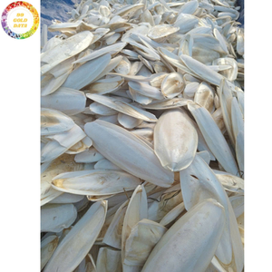 Os de Seiche Séché de Qualité Supérieure, Frit sous Vide, Aliment à Mâcher pour Cage d'Oiseaux (Perroquet, Budgie, Canari, Pinson) - Vente en Gros - Product Image 3
