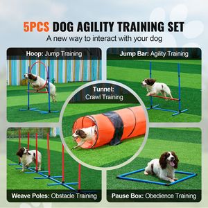 Set di Attrezzature per Addestramento Agility Cani da 5 Pezzi: Ostacoli Regolabili, 6 Pali per Guadino, Tunnel Estensibile, Anello per Salto, Tavola di Pausa - Product Image 2