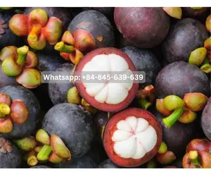 Fresh and organic mangosteen products for optimal well-being.