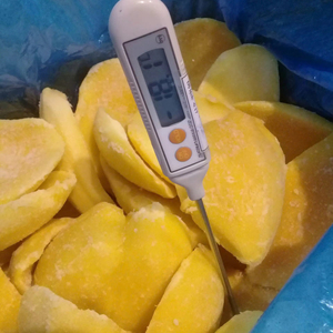 Fabricante Vietnamita de Mango Congelado en Rodajas, Mango Fresco IQF, Suministro a Granel de Fábrica, Exportación - Product Image 1