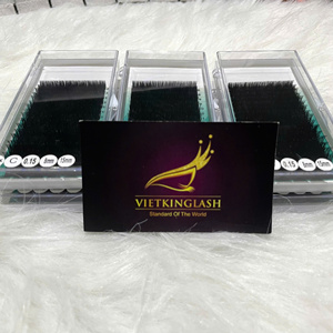 Extensiones de Pestañas Naturales Preformadas, Volumen, Bandeja Grande, Mixtas, Pestañas Individuales, Extensiones de Pestañas de Pelo Sintético, Curva C - Product Image 6