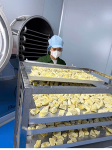 Sachets de durian lyophilisé en gros – Chips et morceaux de durian naturel de qualité supérieure du Vietnam - Product Image 4