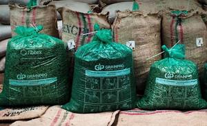 HANCOFFEE Cosecha 2026 Café Verde Robusta de Vietnam de Alta Calidad - GRADO 1 Natural/Lavado/Proceso Miel - Muestra Gratis - Product Image 3