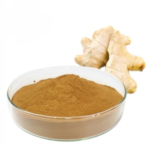 Poudre de gingembre en gros de haute qualité, 100 % pure et naturelle, poudre de racine de Zingiber Officinale pour applications alimentaires et boissons - Product Image 1