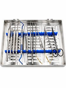 Kit de microcirugía dental ergonómico de 10 piezas, instrumentos manuales de acero inoxidable, bandeja de esterilización plateada - Product Image 1