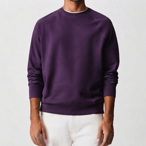 Nouveau sweat à capuche homme de qualité supérieure, col rond, manches longues, doux, confortable, décontracté, basique, pour le quotidien, collection Printemps 2026 - Product Image 5