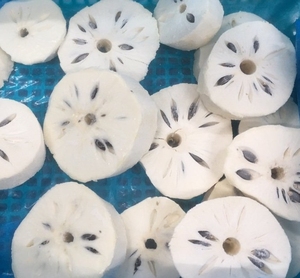 FROZEN SOURSOP VIETNAM SUPPLIER FRESH TASTE READY STOCK BULK - Product Image 2