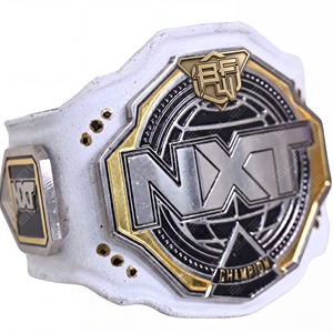 Ceinture de championnat de lutte poids lourd miniature de haute qualité pour Jiu-Jitsu, MMA, Judo, Boxe, ultra-haute taille, personnalisable - Product Image 1
