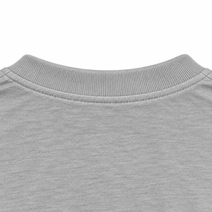 <b>Men's</b> <b>Grey</b> Short Sleeve Crew Neck T <b>Shirt</b> with Royal Blue Chenille Embroidered Mustard Sigma Letter Logo and Contrast Sleeve - Product Image 6