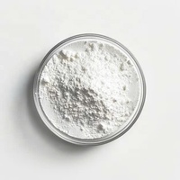 Carbonato de Calcio Pesado Activado Nano de Alta Pureza 05-75 micras para Recubrimiento Acrílico de Plástico y Pintura para Barcos - Precio de Fábrica