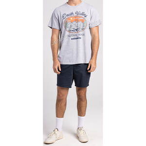 Camiseta Ligera para Hombre al por Mayor, Gris, Corte Regular, Estampado Digital Personalizado, 100% Algodón, Transpirable, de Secado Rápido - Product Image 4