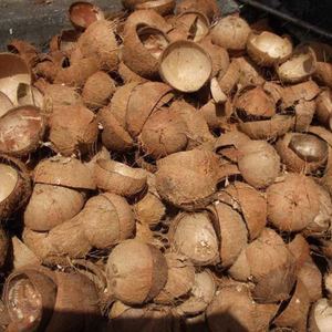 Coques de noix de coco de qualité supérieure, 100% naturelles |   Écrasé dans le Tamil Nadu |   Faible teneur en cendres, haute température |   Durée de conservation de 3 ans |   pour briquettes de charbon de bois - Product Image 4