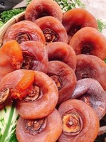 Hoogwaardige 100% biologische gedroogde persimmon uit Vietnam, zoete smaak, zongedroogd proces
