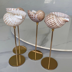 Seashell Artistry: Sea shell Wine Glasses, Conch Martini Goblets from Vietnam, Stunning Coastal Decor for Events Conch Shell cup - Product Image 1