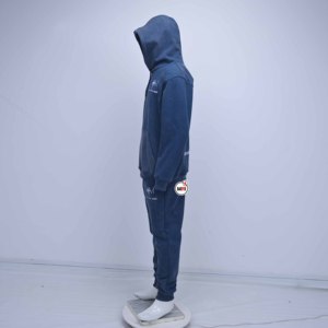 Best Quality Blue Cotton Hooded Tracksuit Full Sleeve Solid Color Casual Autumn Wear Regular Fit Side Pockets Drawstring Closure - Product Image 4