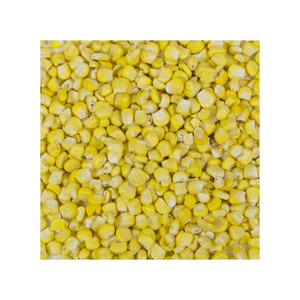 Maïs blanc sec en gros, maïs jaune de haute qualité pour l'alimentation animale - Fournisseur - Product Image 2