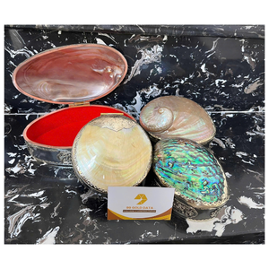 BEST WHITE Mother of Pearl Real Touch Polished DIY Silver Inlaid New Luxury Jewelry Box - CARYLN - Product Image 1