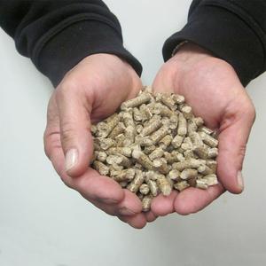 Granulés de bois de biomasse fiables, produits à partir de résidus de bois naturels, pour l'exportation en vrac, chauffage propre et énergie industrielle - Product Image 1