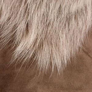 Chaqueta de Cuero para Mujer de Alta Calidad, Nueva, Elegante, Resistente al Viento, de Piel de Oveja Auténtica, con Cuello Alto, Transpirable, para Otoño - Product Image 4