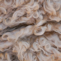 Raw Wool/ Wool Fiber Sheep Wool
